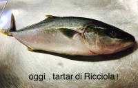 Foto 49636 Osteria Primonovecento - Ristorante Pesce a Milano